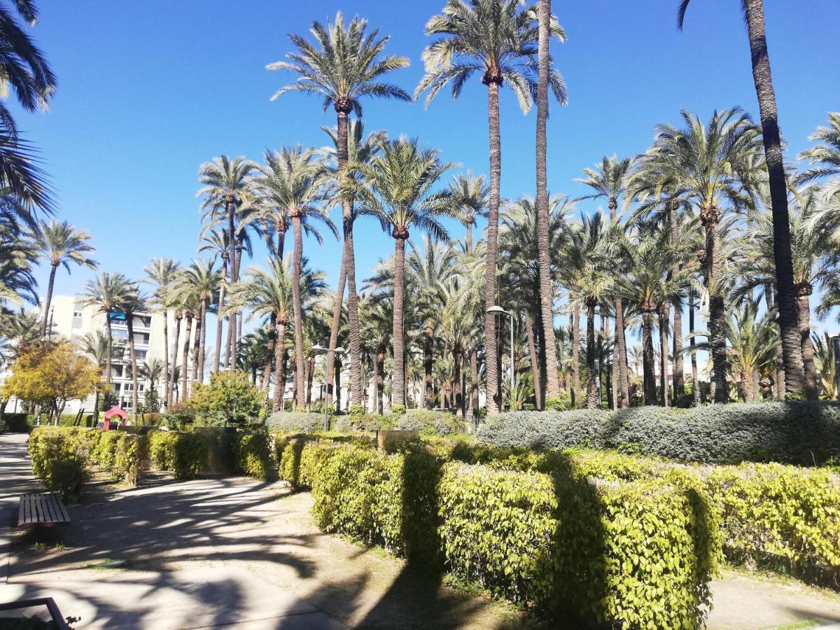 Santa Pola Salamanca 10 Apartamento, Garaje Subterraneo, Fibra Optica, Lavavajillas, Aire Acondicionado, Gran Terraza, Grand Playa 450M Extérieur photo